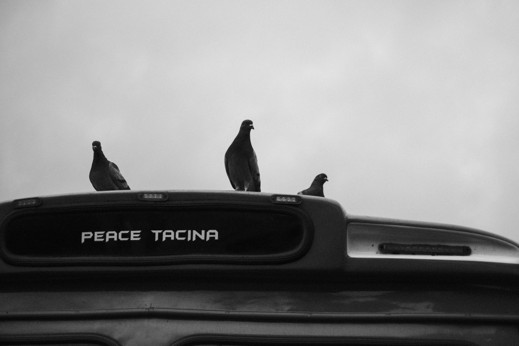 The Fiji Diaries –&nbsp;#3